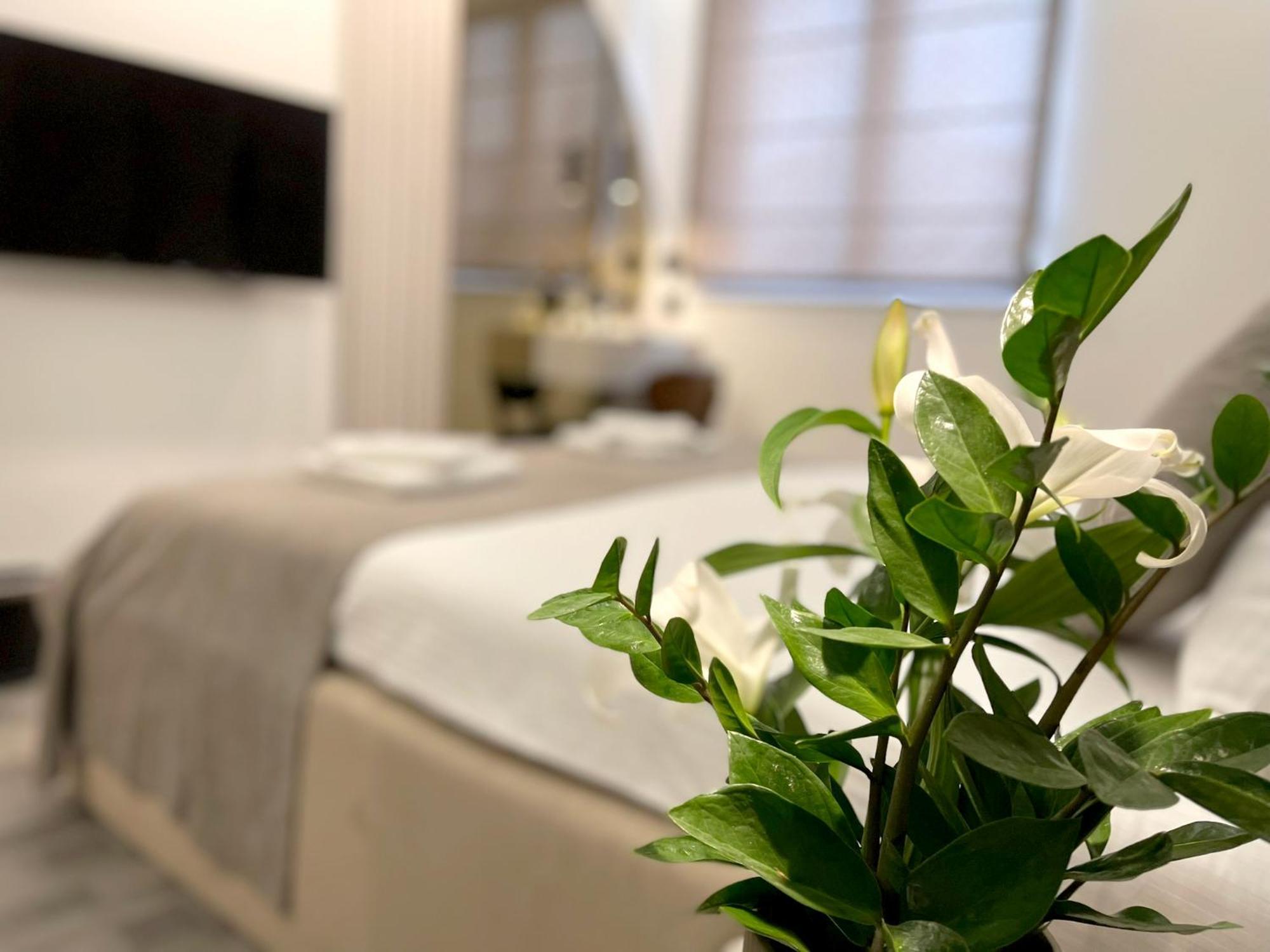 Hotel Npl Code Naselje Starosjedilaca Kültér fotó